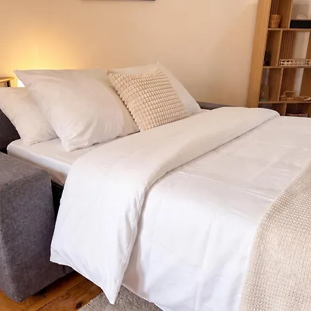 Appartement Mezzanine 10 Min Walk From Place Stanislas *